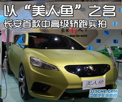 美人鱼汽车多少钱