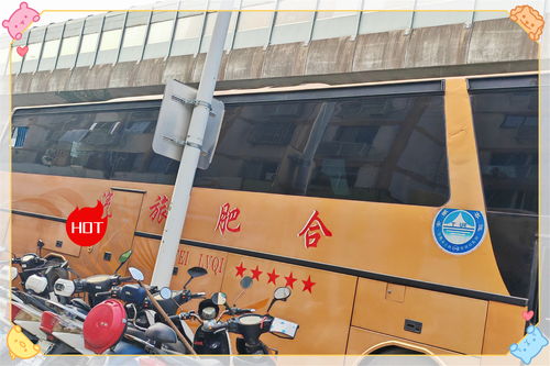 岳池至仪陇汽车班次多少
