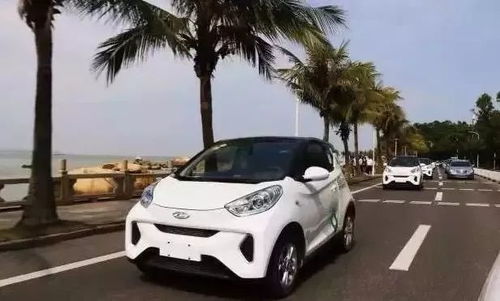中山有多少种共享汽车 中山有多少种共享汽车