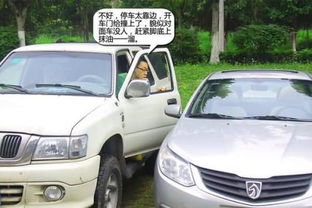 汽车自然保险多少钱
