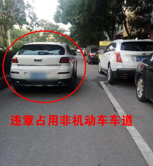 余干到东乡汽车多少钱 余干到东乡汽车多少钱