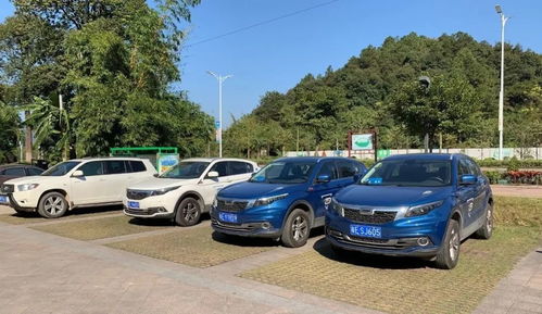 扫码汽车一天多少钱 扫码汽车一天多少钱