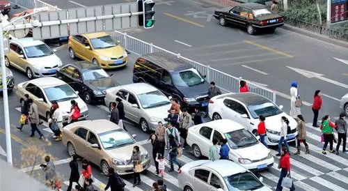 汽车撞了人担多少责任 汽车撞了人担多少责任
