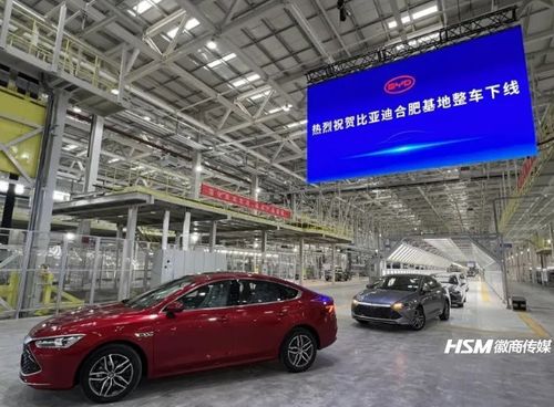 2022合肥有多少汽车 2022合肥有多少汽车
