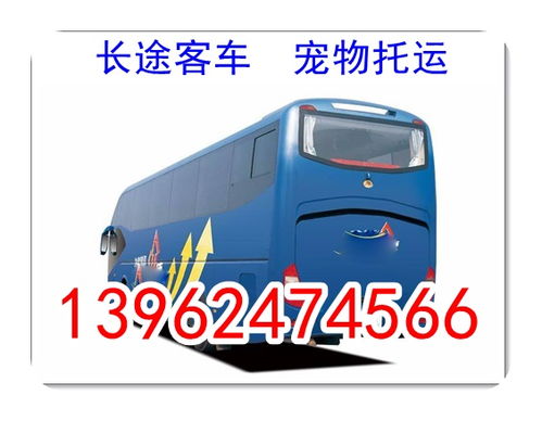 泰安汽车燃气价多少钱 泰安汽车燃气价多少钱