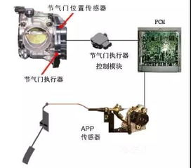 天冷了汽车点火怠速多少 天冷了汽车点火怠速多少