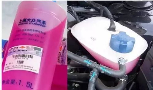 爱丽舍汽车防冻液买多少 爱丽舍汽车防冻液买多少