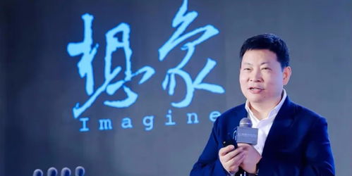 余承东一喊刘亦菲全场欢呼