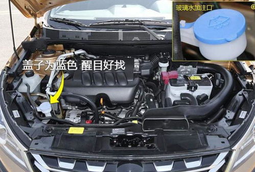 汽车加水加多少 汽车加水加多少
