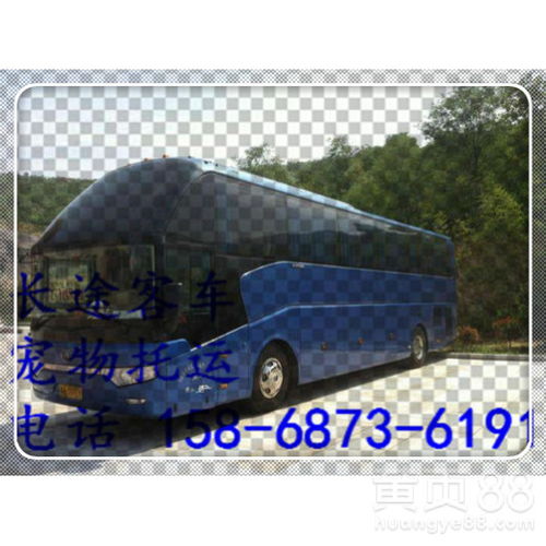 乐清汽车补贴多少天