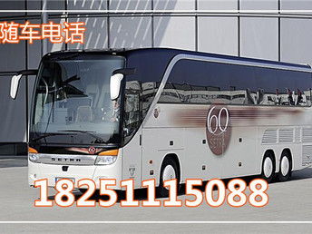 温州到深圳汽车多少钱