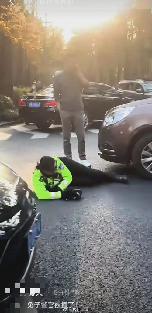 杭州交警回应网友称兔子警官被撞 杭州交警回应网友称兔子警官被撞