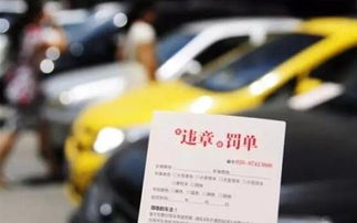 汽车违章交多少钱
