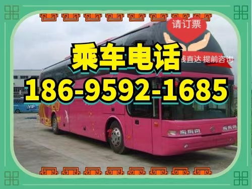 南阳到洛阳汽车多少钱