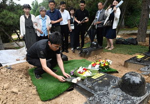多方回应村民的公墓被砸骨灰被抛洒