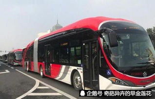 公共汽车有多少天 公共汽车有多少天