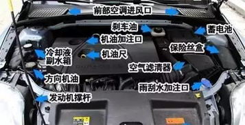 汽车油检价格多少