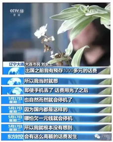 不敢请假的打工人带火24小时出国游 不敢请假的打工人带火24小时出国游