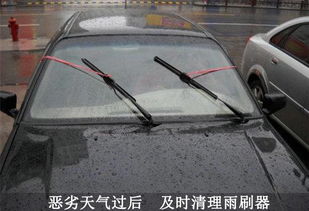 汽车换个雨刷器多少 汽车换个雨刷器多少
