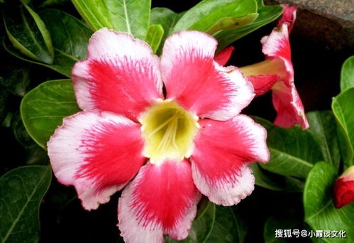 汽车风管内风速多少合适 汽车风管内风速多少合适