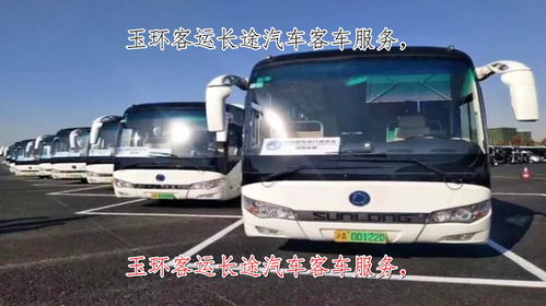 蒙城到亳州汽车多少钱 蒙城到亳州汽车多少钱
