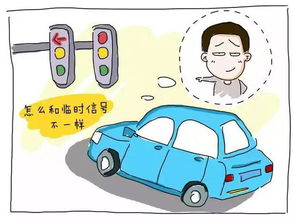 汽车违章多少钱
