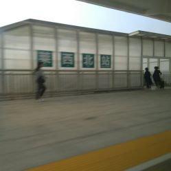 莱西汽车站电话是多少 莱西汽车站电话是多少