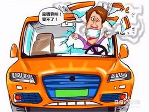 汽车去异味多少钱 汽车去异味多少钱
