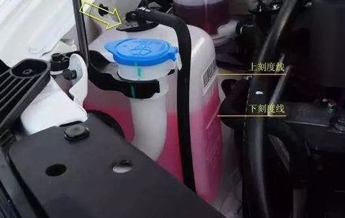 加汽车防冻液多少钱 加汽车防冻液多少钱
