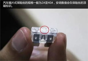 汽车保险丝多少钱一个 汽车保险丝多少钱一个