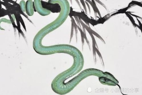 “蛇年蛇月蛇日蛇时”来了!