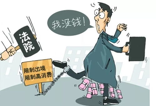 12岁女孩被动欠款百万成\老赖\ 12岁女孩被动欠款百万成\老赖\