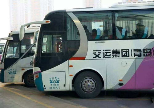 利津路汽车站有多少班车(利津路汽车站的班车运营概况)