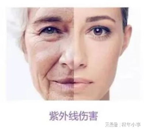 汽车防晒霜一般涂多少量(汽车防晒霜一般涂多少量,详解汽车防晒保护的重要性及适量涂抹技巧) 汽车防晒霜一般涂多少量(汽车防晒霜一般涂多少量,详解汽车防晒保护的重要性及适量涂抹技巧)
