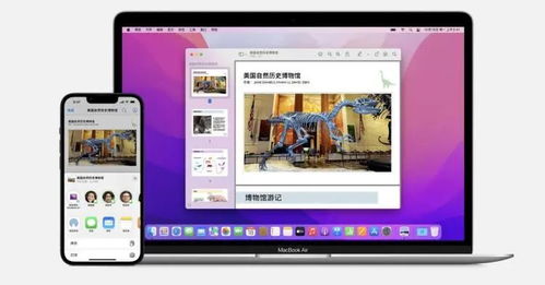 华为电脑vivo怎么多屏协同(华为电脑与vivo手机的多屏协同,无缝连接,高效办公) 华为电脑vivo怎么多屏协同(华为电脑与vivo手机的多屏协同,无缝连接,高效办公)