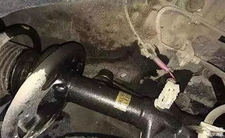 自动挡汽车减震器多少钱(自动挡汽车减震器价格解析)