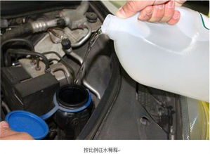 哈弗汽车加防冻液多少钱(哈弗汽车防冻液价格及更换指南)