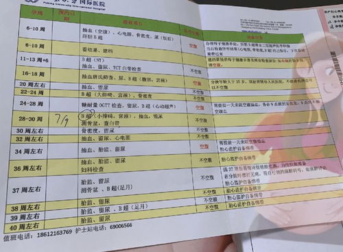 济宁到维芳汽车站多少钱(济宁到维芳汽车站的价格详解，费用、时间与路线)