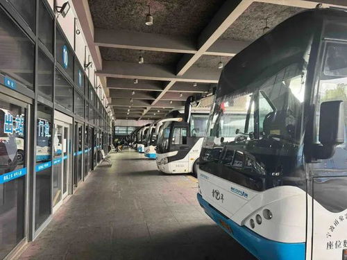 宁波到泗门汽车站多少钱(宁波到泗门汽车站的价格详解) 宁波到泗门汽车站多少钱(宁波到泗门汽车站的价格详解)