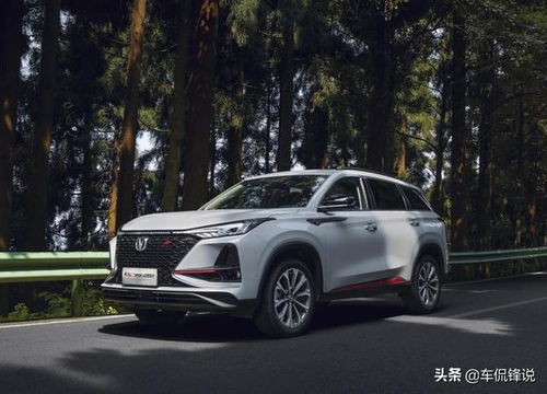汽车前后防撞护杠多少钱(汽车前后防撞护杠价格解析,多少钱? 汽车前后防撞护杠多少钱(汽车前后防撞护杠价格解析,多少钱?
