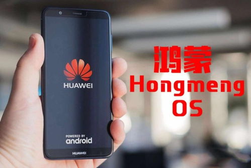 华为电脑出国文案怎么找(华为电脑出国文案撰写指南) 华为电脑出国文案怎么找(华为电脑出国文案撰写指南)