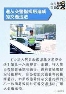 莘县至邹城汽车票多少钱(莘县至邹城汽车票价查询)