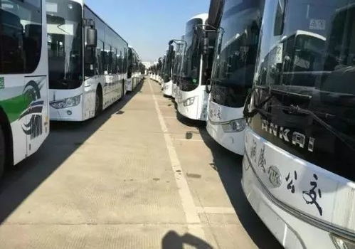 铜陵到宿州汽车站多少钱(铜陵到宿州汽车站的价格详解) 铜陵到宿州汽车站多少钱(铜陵到宿州汽车站的价格详解)