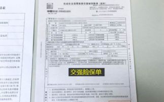 河南汽车保险要赔多少钱(河南汽车保险赔付金额分析)
