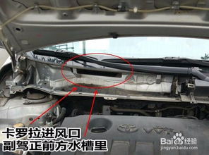 汽车空调进老鼠要多少钱(汽车空调进老鼠维修费用详解，多少钱能解决这一问题？