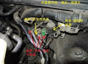 汽车应变式传感器多少钱(汽车应变式传感器价格解析)