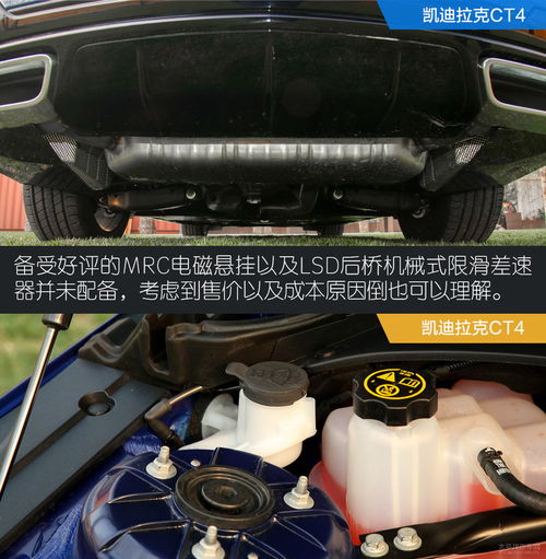 佛山汽车天线多少钱一台(佛山汽车天线价格解析,多少钱一台? 佛山汽车天线多少钱一台(佛山汽车天线价格解析,多少钱一台?