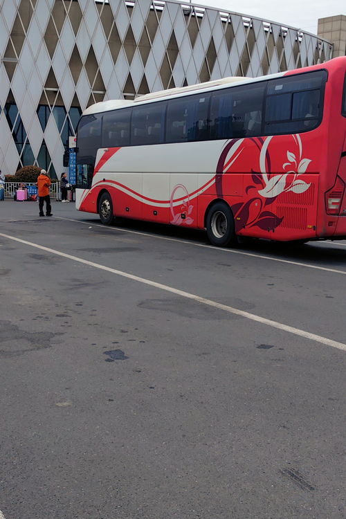 安阳至台洲汽车票价多少(安阳至台洲汽车票价详解)