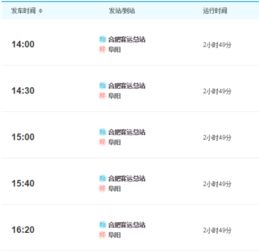 南京到临泉汽车票多少钱(南京到临泉汽车票价详解，费用、行程与选择)