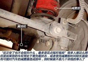 汽车减震筒多少钱一个(汽车减震筒价格解析，多少钱一个？
